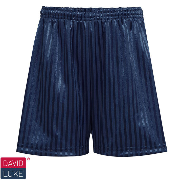 Polyester Shadow Stripe Sports Shorts